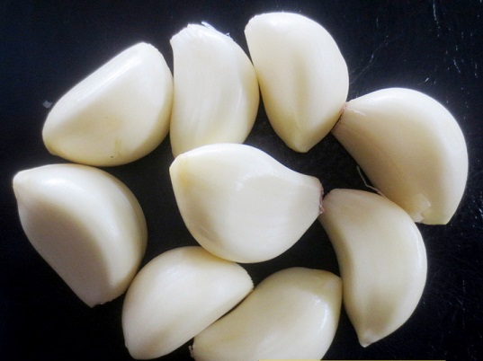 Garlic