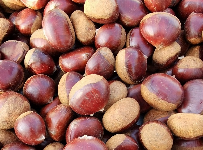 Chestnut